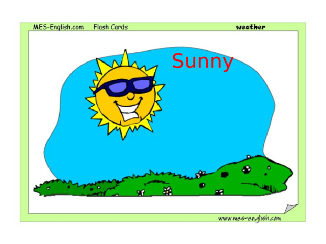 Sunny 