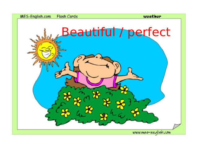 Beautiful / perfect 