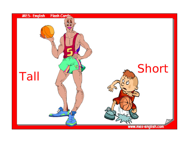 Short Tall 