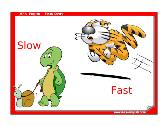 Slow Fast 