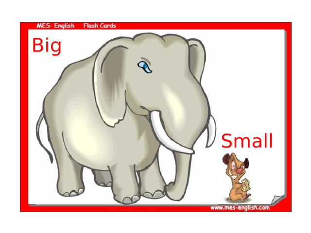 Big Small 