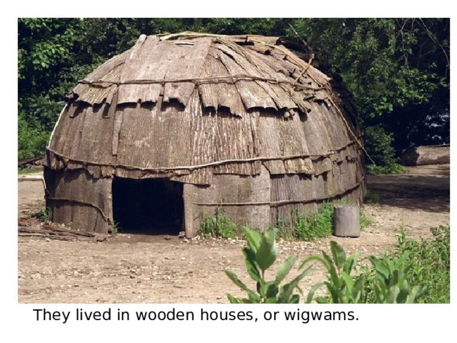 They lived in wooden houses, or wigwams. 