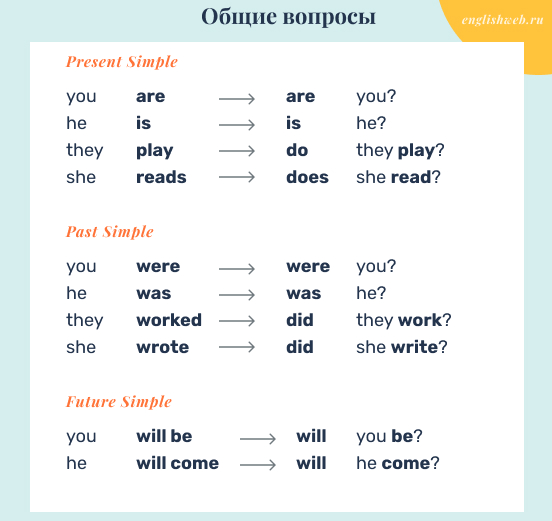 Do does упражнения 2 класс. Спец вопросы в английском языке упражнения. Построение вопроса с do does. Вопросы с do does в английском языке. Задания на do does для 3 класса.