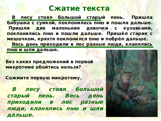 Сжатие текста В лесу стоял большой старый пень.  Пришла бабушка с сумкой, поклонилась пню и пошла дальше.  Пришли две маленькие девочки с кузовками, поклонились пню и пошли дальше.  Пришёл старик с мешочком, кряхтя поклонился пню и побрёл дальше.   Весь день приходили в лес разные люди, кланялись пню и шли дальше.   Без каких предложений в первой микротеме обойтись нельзя?  Сожмите первую микротему. В лесу стоял большой старый пень.  Весь день приходили в лес разные люди, кланялись пню и шли дальше.   