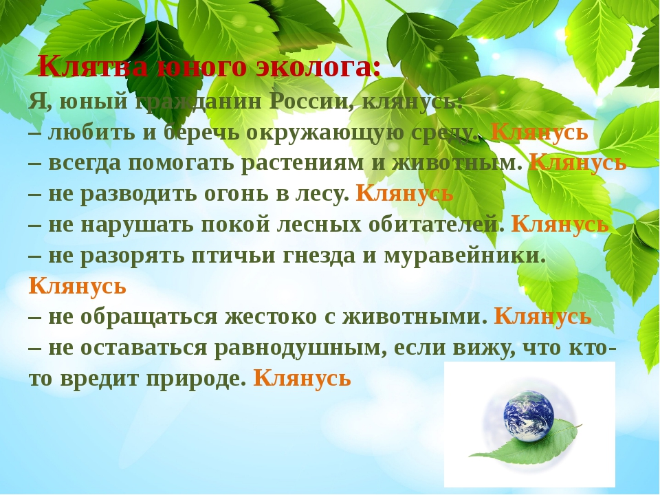 Ответы на эколог. Клятва по экологии дошкольники. Клятва юного эколога. Клятва юного эколога для детей. Клятва защитников природы.