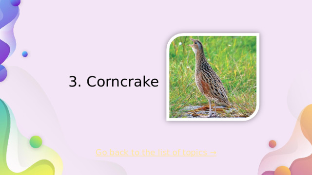 3. Corncrake   Go back to the list of topics →  