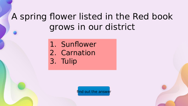  A spring flower listed in the Red book  grows in our district Sunflower Carnation Tulip find out the answer  