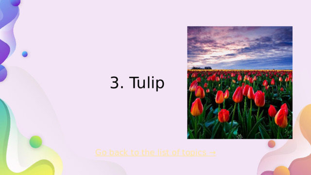 3. Tulip   Go back to the list of topics →  