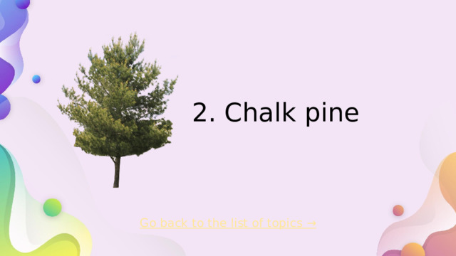 2. Chalk pine   Go back to the list of topics →  