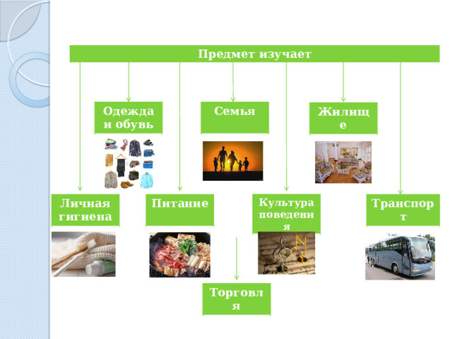 Предмет изучает Одежда и обувь Семья Жилище Культура поведения Питание Личная Транспорт гигиена Торговля 