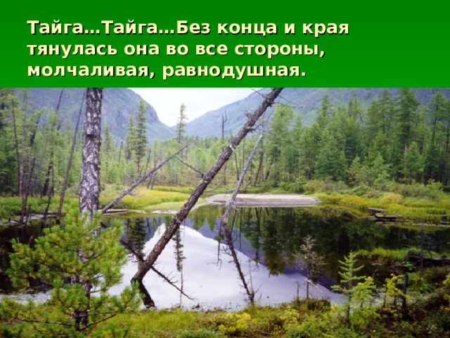 Тайга…Тайга…Без конца и края тянулась она во все стороны, молчаливая, равнодушная. 