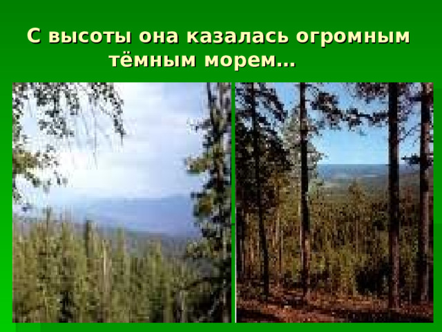 С высоты она казалась огромным  тёмным морем… 