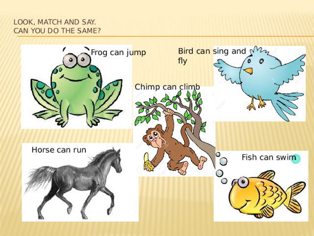 Look, match and say.  Can you do the same?   Bird can sing and fly Frog can jump Chimp can climb Horse can run Fish can swim 