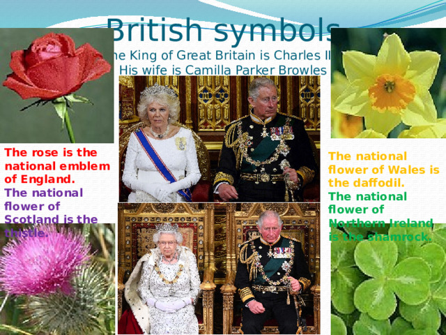 British symbols  The King of Great Britain is Charles III.  His wife is Camilla Parker Browles                  The rose is the national emblem of England. The national flower of Scotland is  the thistle. The national flower of Wales is the daffodil. The national flower of Northern Ireland is the shamrock. 