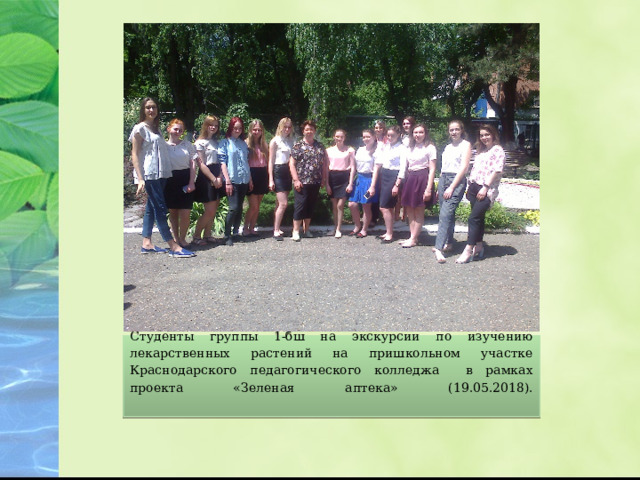Студенты группы 1-бш на экскурсии по изучению лекарственных растений на пришкольном участке Краснодарского педагогического колледжа в рамках проекта «Зеленая аптека» (19.05.2018).   
