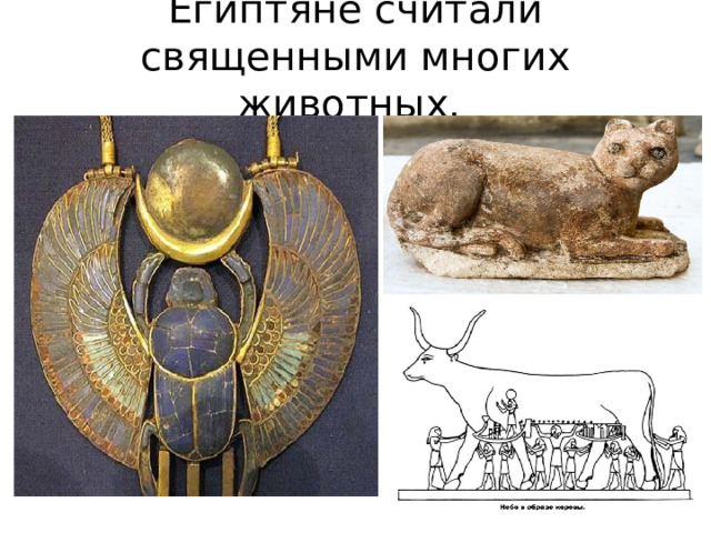 Египтяне считали священными многих животных. 