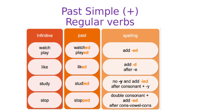 Past Simple (+)  Regular verbs 