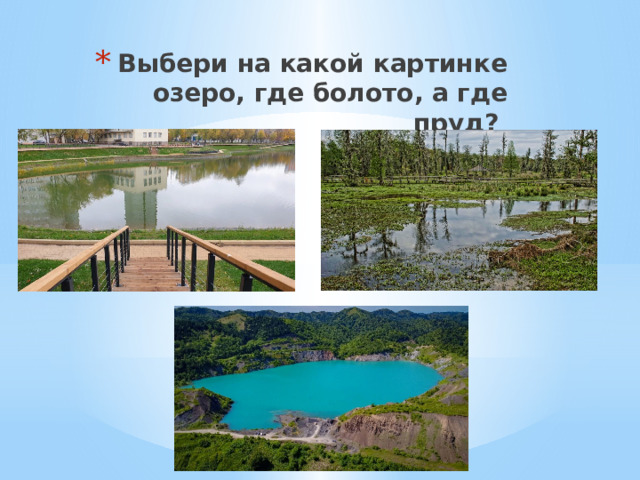 Выбери на какой картинке озеро, где болото, а где пруд? 