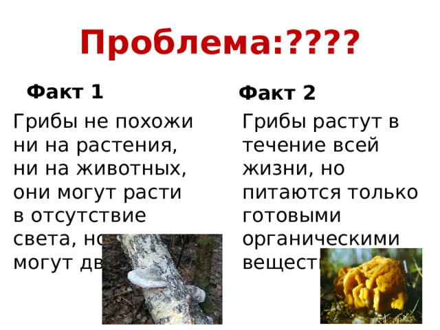 Проблема:???? Факт 1 Факт 2 Грибы не похожи ни на растения, ни на животных, они могут расти в отсутствие света, но не могут двигаться Грибы растут в течение всей жизни, но питаются только готовыми органическими веществами 