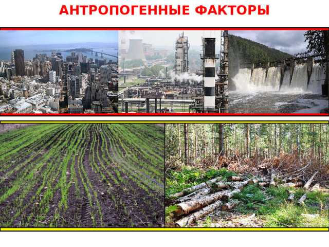 Среда природно антропогенных объектов. Антропогенные факторы среды. Антропогенные факторы окружающей среды. Антропогенные экологические факторы. Положительное антропогенное воздействие на растения.