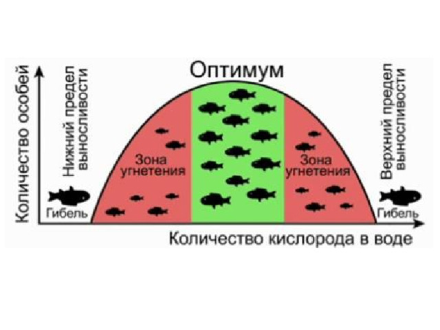 Зона оптимума. Зона оптимума и угнетения. Экологический фактор живого организма Оптимум. Схема влияния экологических факторов на зайца. Схема действия факторов среды на организм зайца.