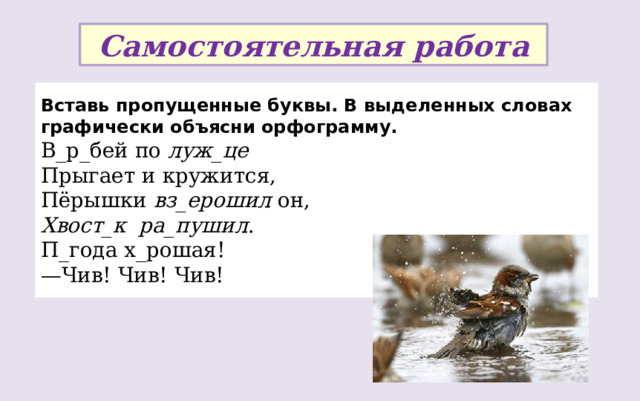Самостоятельная работа Вставь пропущенные буквы. В выделенных словах графически объясни орфограмму. В_р_бей по луж_це Прыгает и кружится, Пёрышки вз_ерошил он, Хвост_к  ра_пушил . П_года х_рошая! — Чив! Чив! Чив! 