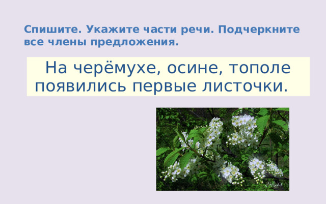 Спишите. Укажите части речи. Подчеркните все члены предложения.  На черёмухе, осине, тополе появились первые листочки. 