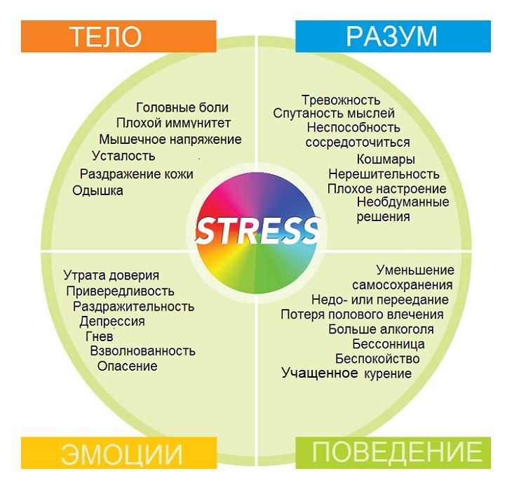 - Stress Testing