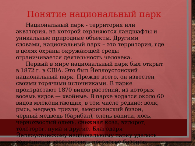 Понятие национальный парк  Национальный парк - территория или акватория, на которой охраняются ландшафты и уникальные природные объекты. Другими словами, национальный парк – это территория, где в целях охраны окружающей среды ограничивается деятельность человека.  Первый в мире национальный парк был открыт в 1872 г. в США. Это был Йеллоустонский национальный парк. Прежде всего, он известен своими горячими источниками. В парке произрастают 1870 видов растений, из которых восемь видов — хвойные. В парке водятся около 60 видов млекопитающих, в том числе редкие: волк, рысь, медведь гризли, американский бизон, черный медведь (барибал), олень вапити, лось, чернохвостый олень, снежная коза, вилорог, толсторог, пума и другие. Благодаря Йеллоустонскому национальному парку удалось сохранить и восстановить поголовье бизонов. 