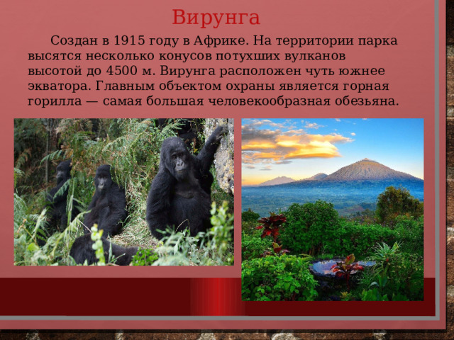 Вирунга  Создан в 1915 году в Африке. На территории парка высятся несколько конусов потухших вулканов высотой до 4500 м. Вирунга расположен чуть южнее экватора. Главным объектом охраны является горная горилла — самая большая человекообразная обезьяна. 