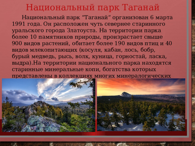 Национальный парк Таганай  Национальный парк “Таганай” организован 6 марта 1991 года. Он расположен чуть севернее старинного уральского города Златоуста. На территории парка более 10 памятников природы, произрастает свыше 900 видов растений, обитает более 190 видов птиц и 40 видов млекопитающих (косуля, кабан, лось, бобр, бурый медведь, рысь, волк, куница, горностай, ласка, выдра).На территории национального парка находятся старинные минеральные копи, богатства которых представлены в коллекциях многих минералогических музеев мира 