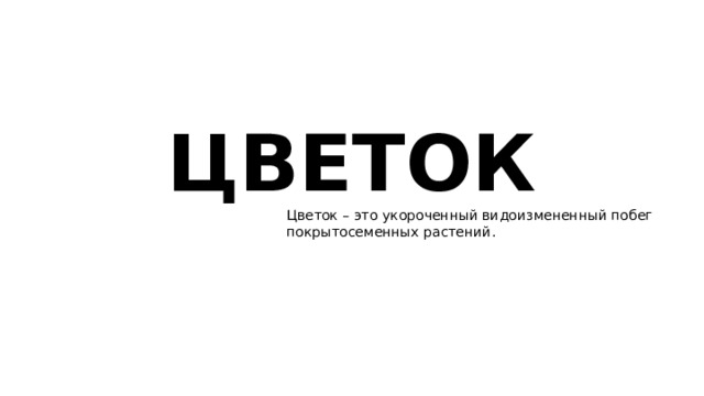 ЦВЕТОК Цветок – это укороченный видоизмененный побег покрытосеменных растений . 