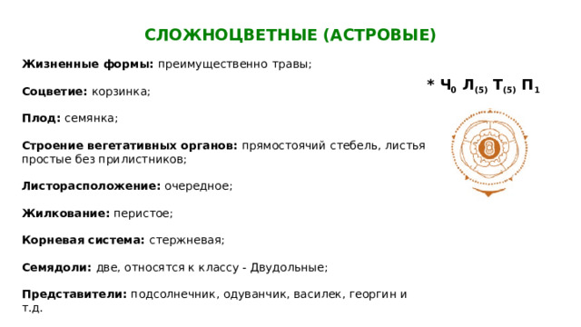  СЛОЖНОЦВЕТНЫЕ (АСТРОВЫЕ)   Жизненные формы: преимущественно  травы; Соцветие: корзинка; Плод: семянка; Строение вегетативных органов: прямостоячий стебель, листья простые без прилистников; Листорасположение: очередное; Жилкование: перистое; Корневая система: стержневая; Семядоли: две, относятся к классу - Двудольные; Представители: подсолнечник, одуванчик, василек, георгин и т.д. * Ч 0 Л (5) Т (5) П 1 