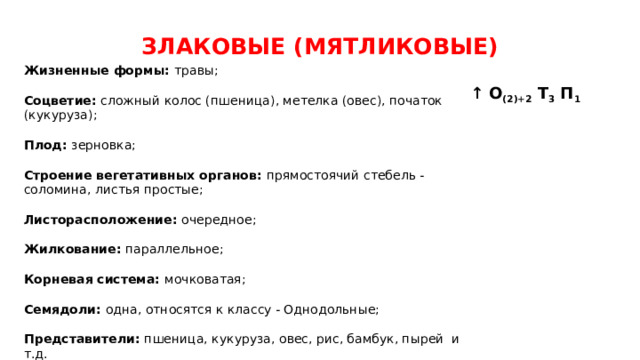  ЗЛАКОВЫЕ (МЯТЛИКОВЫЕ) Жизненные формы: травы; Соцветие: сложный колос (пшеница), метелка (овес), початок (кукуруза); Плод: зерновка; Строение вегетативных органов: прямостоячий стебель - соломина, листья простые; Листорасположение: очередное; Жилкование: параллельное; Корневая система: мочковатая; Семядоли: одна, относятся к классу - Однодольные; Представители: пшеница, кукуруза, овес, рис, бамбук, пырей и т.д. ↑ О (2)+2 Т 3 П 1 