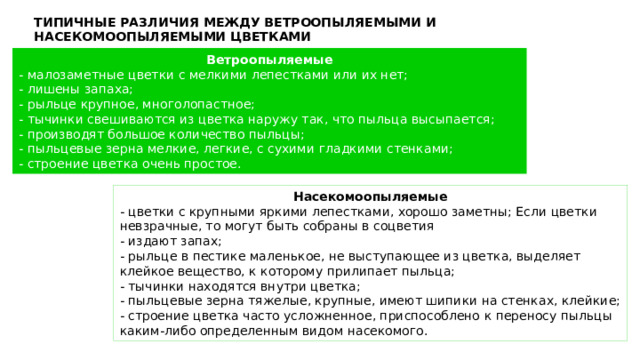 ТИПИЧНЫЕ РАЗЛИЧИЯ МЕЖДУ ВЕТРООПЫЛЯЕМЫМИ И НАСЕКОМООПЫЛЯЕМЫМИ ЦВЕТКАМИ Ветроопыляемые - малозаметные цветки с мелкими лепестками или их нет; - лишены запаха; - рыльце крупное, многолопастное; - тычинки свешиваются из цветка наружу так, что пыльца высыпается; - производят большое количество пыльцы; - пыльцевые зерна мелкие, легкие, с сухими гладкими стенками; - строение цветка очень простое. Насекомоопыляемые - цветки с крупными яркими лепестками, хорошо заметны; Если цветки невзрачные, то могут быть собраны в соцветия - издают запах; - рыльце в пестике маленькое, не выступающее из цветка, выделяет клейкое вещество, к которому прилипает пыльца; - тычинки находятся внутри цветка; - пыльцевые зерна тяжелые, крупные, имеют шипики на стенках, клейкие; - строение цветка часто усложненное, приспособлено к переносу пыльцы каким-либо определенным видом насекомого. 
