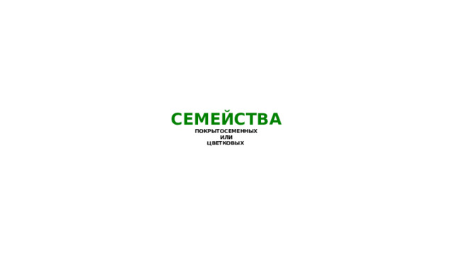 СЕМЕЙСТВА  ПОКРЫТОСЕМЕННЫХ  ИЛИ  ЦВЕТКОВЫХ 