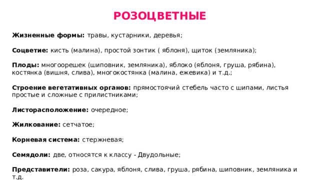 РОЗОЦВЕТНЫЕ Жизненные формы: травы, кустарники, деревья; Соцветие: кисть (малина), простой зонтик ( яблоня), щиток (земляника); Плоды: многоорешек (шиповник, земляника), яблоко (яблоня, груша, рябина), костянка (вишня, слива), многокостянка (малина, ежевика) и т.д.; Строение вегетативных органов: прямостоячий  стебель часто с шипами, листья простые и сложные с прилистниками; Листорасположение: очередное; Жилкование: сетчатое; Корневая система: стержневая; Семядоли: две, относятся к классу - Двудольные; Представители: роза, сакура, яблоня, слива, груша, рябина, шиповник, земляника и т.д. 