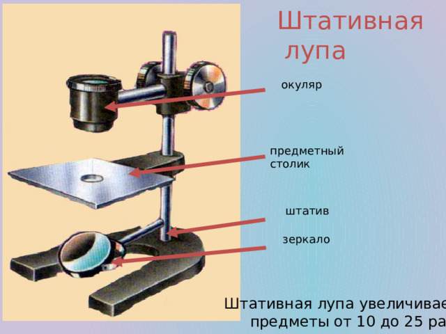 Штативная  лупа окуляр предметный столик штатив зеркало Штативная лупа увеличивает предметы от 10 до 25 раз. 