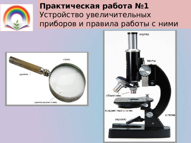 Практическая работа №1 Устройство увеличительных приборов и правила работы с ними 