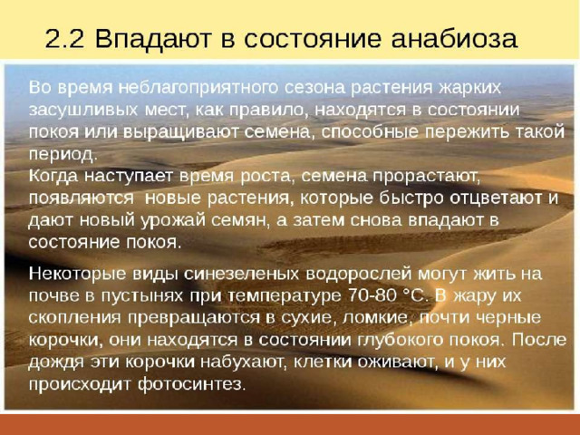 Особенности полива в жаркий период