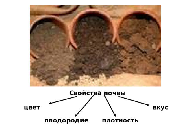 Свойства почвы цвет вкус плодородие плотность 