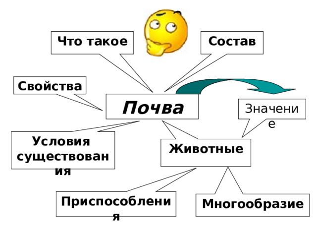 Состав Что такое Свойства Почва Значение Условия существования Животные Приспособления Многообразие 