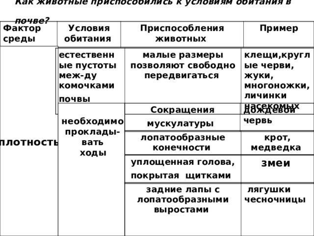 Как животные приспособились к условиям обитания в почве?  Фактор среды  Условия обитания  Приспособления животных  Пример плотность естественные пустоты меж-ду комочками почвы  малые размеры позволяют свободно передвигаться  клещи,круглые черви, жуки, многоножки, личинки насекомых   необходимо проклады- вать  ходы  Сокращения мускулатуры  дождевой червь  лопатообразные конечности  крот, медведка  уплощенная голова, покрытая щитками  змеи задние лапы с лопатообразными выростами  лягушки чесночницы 