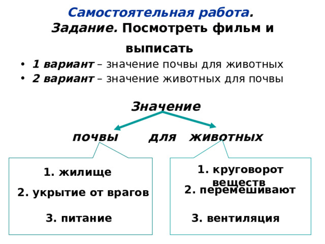 Самостоятельная работа .  Задание. Посмотреть фильм и выписать  1 вариант – значение почвы для животных 2 вариант – значение животных для почвы Значение   почвы для животных 1. круговорот веществ  1. жилище 2. перемешивают 2. укрытие от врагов 3. питание 3. вентиляция 