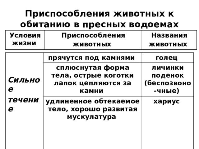 Приспособления животных к обитанию в пресных водоемах Условия жизни Приспособления животных  Названия животных    Сильное течение прячутся под камнями голец  сплюснутая форма тела, острые коготки лапок цепляются за камни удлиненное обтекаемое тело, хорошо развитая мускулатура личинки поденок (беспозвоно-чные)  хариус  