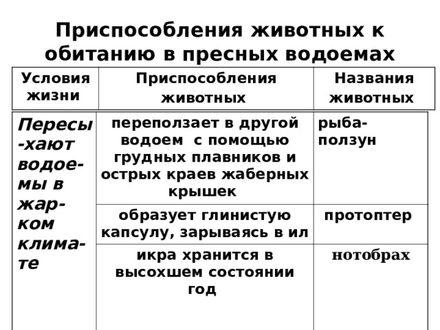 Приспособления животных к обитанию в пресных водоемах Условия жизни Приспособления животных  Названия животных  Пересы-хают водое-мы в жар-ком клима-те    переползает в другой водоем с помощью грудных плавников и острых краев жаберных крышек  рыба-ползун  образует глинистую капсулу, зарываясь в ил  икра хранится в высохшем состоянии год  протоптер  нотобрах 