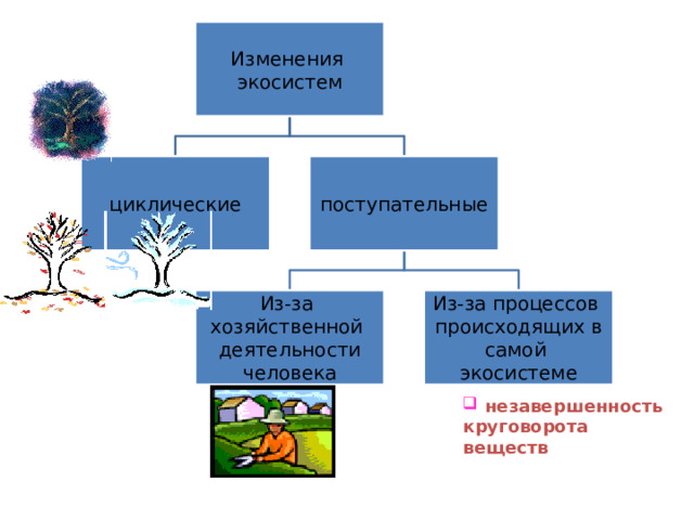 Изменения экосистем циклические поступательные Из-за хозяйственной Из-за процессов деятельности человека происходящих в самой экосистеме  незавершенность круговорота веществ 