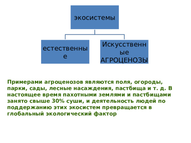 экосистемы естественные Искусственные АГРОЦЕНОЗЫ Примерами агроценозов являются поля, огороды, парки, сады, лесные насаждения, пастбища и т. д. В настоящее время пахотными землями и пастбищами занято свыше 30% суши, и деятельность людей по поддержанию этих экосистем превращается в глобальный экологический фактор 