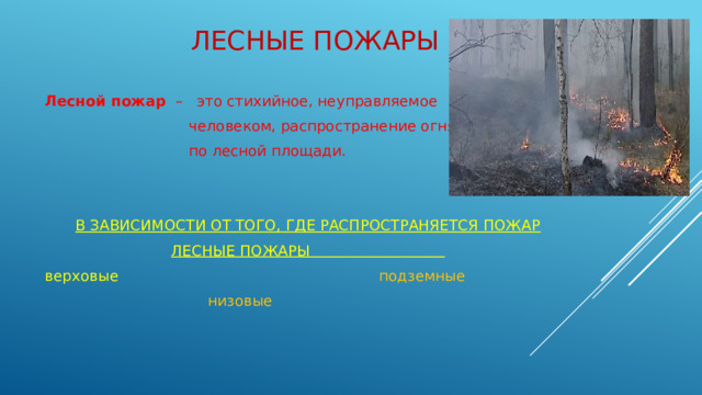 ЛЕСНЫЕ ПОЖАРЫ   Лесной пожар – это стихийное, неуправляемое  человеком, распространение огня  по лесной площади. В ЗАВИСИМОСТИ ОТ ТОГО, ГДЕ РАСПРОСТРАНЯЕТСЯ ПОЖАР ЛЕСНЫЕ ПОЖАРЫ верховые  подземные  низовые  
