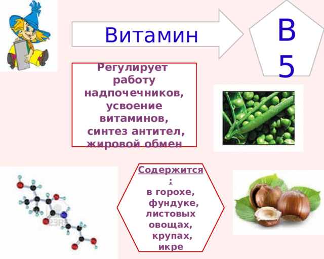 B5 Витамин Регулирует работу надпочечников, усвоение витаминов,  синтез антител, жировой обмен Содержится: в горохе,  фундуке, листовых овощах,  крупах, икре 